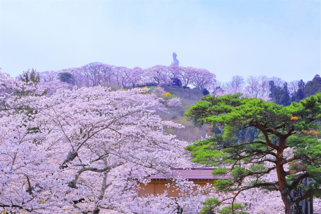 神社で参拝するべき吉日とは？