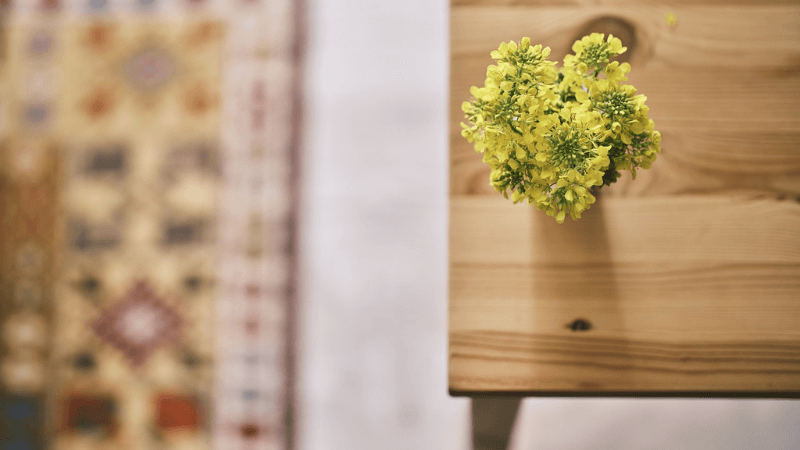 金運アップの花はどこに飾ればいいのか